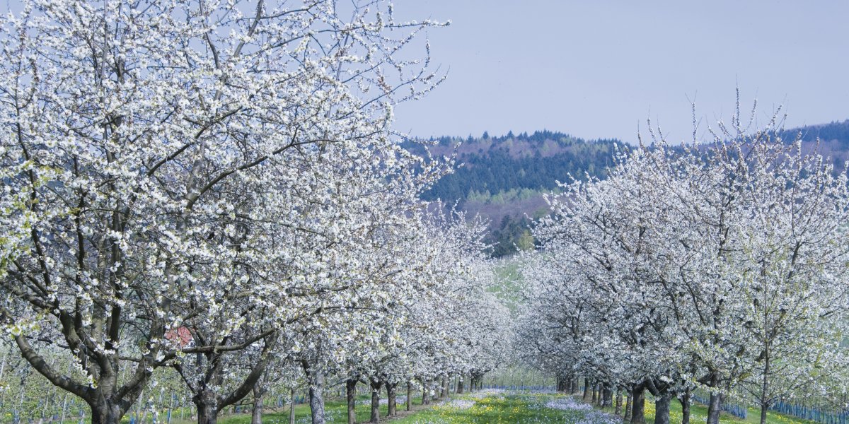  &copy; reinhard sester-fotolia.com