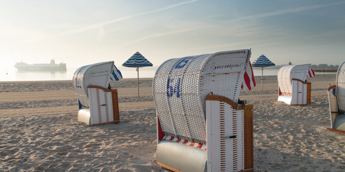  &copy; LTM - Borowiakziehe