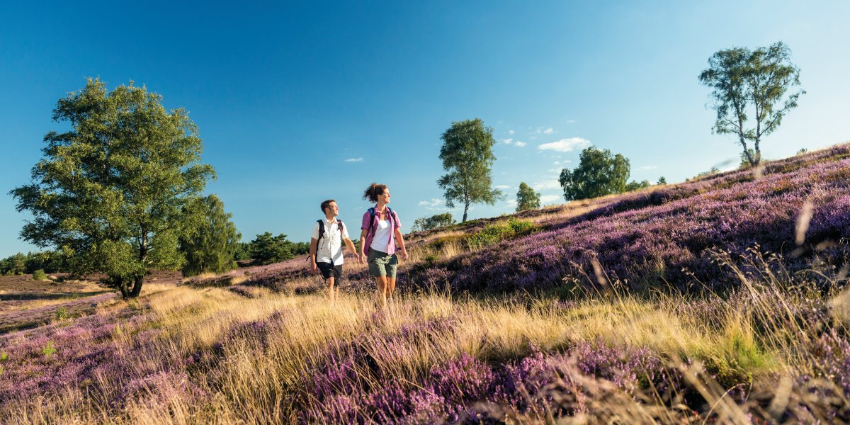  © DZT/Lüneburger Heide GmbH/Dominik Ketz