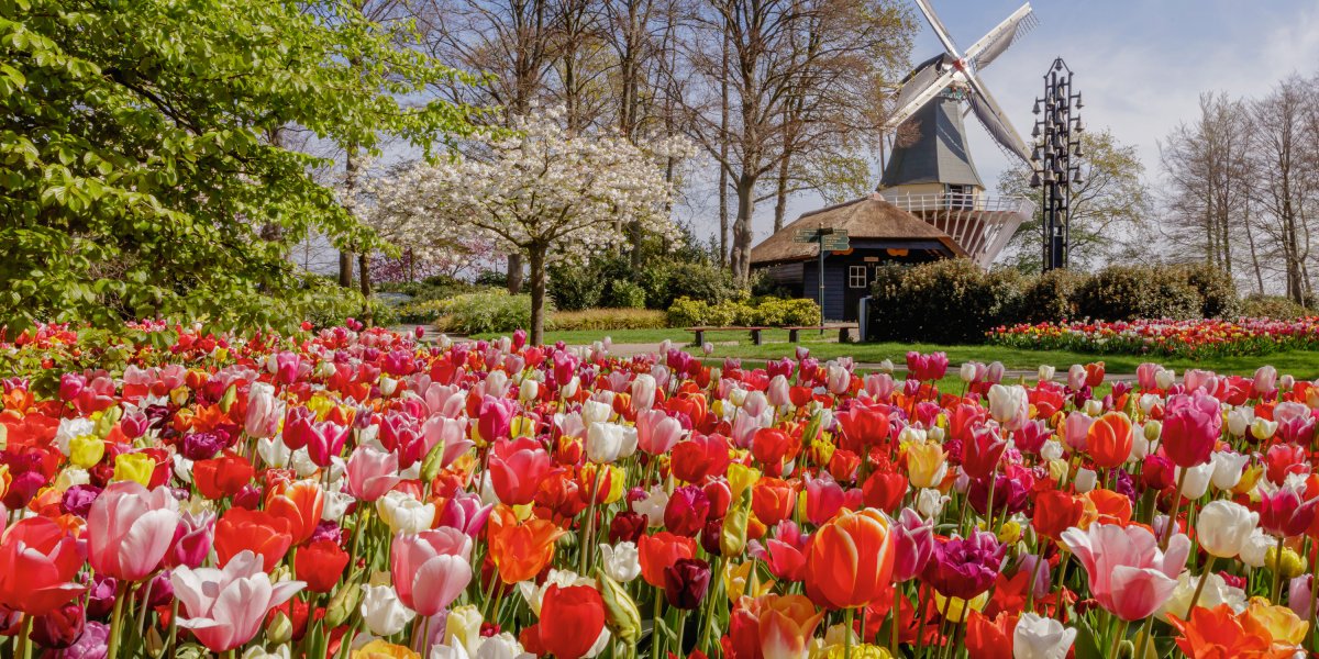  &copy; Keukenhof