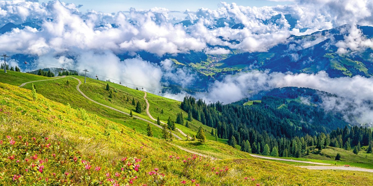  © Sebastian Köhler - stock.adobe.com