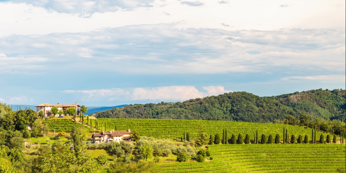  © zakaz86 - stock.adobe.com