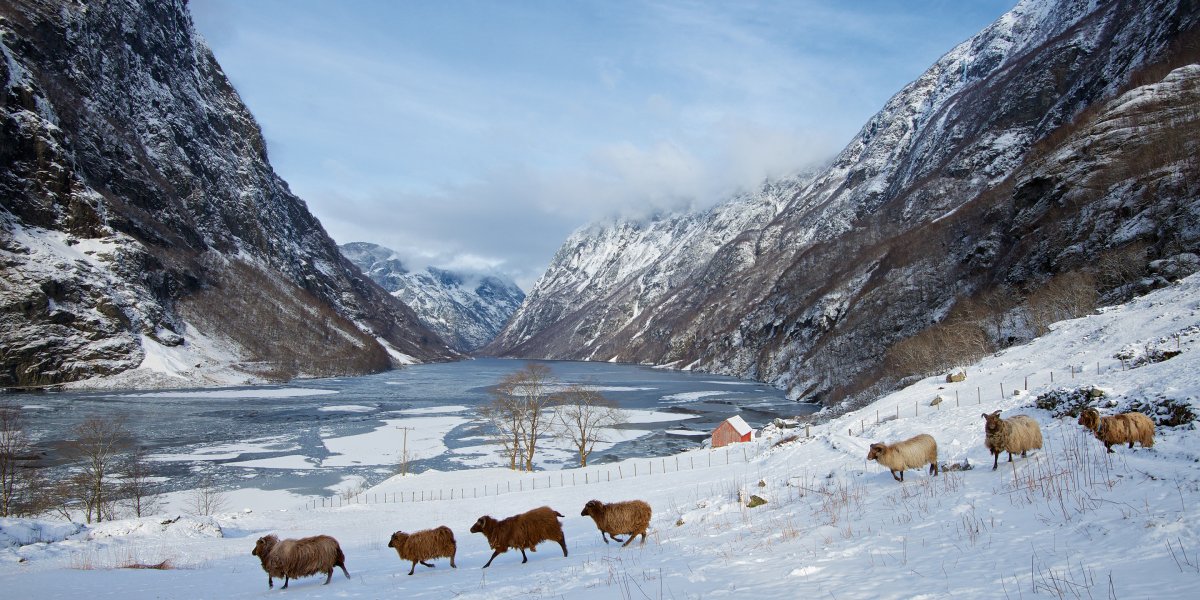  &copy; Øyvind Heen - fjords.com