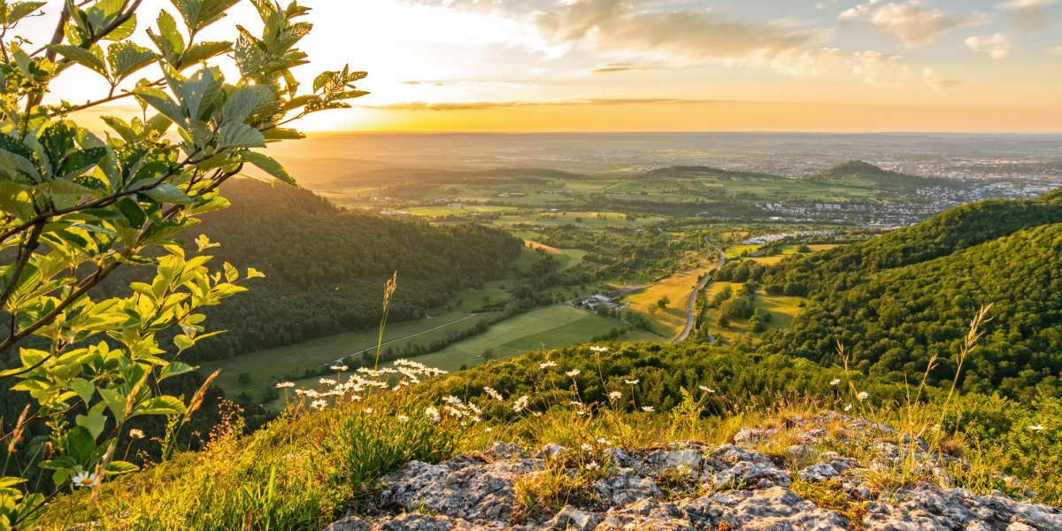  &copy; Calado - stock.adobe.com