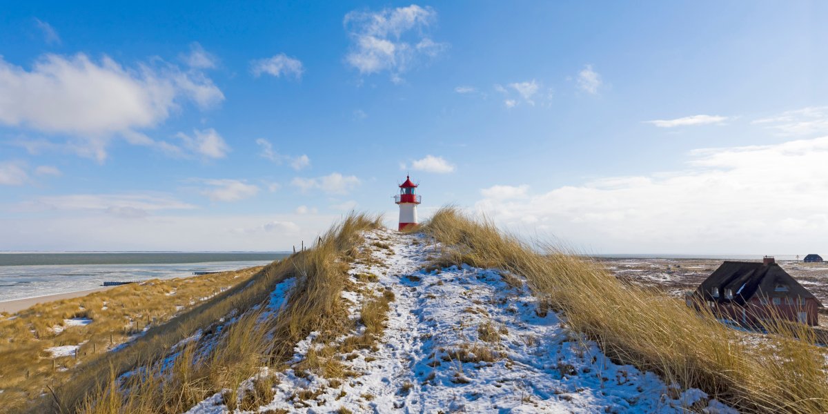  &copy; artfocus - stock.adobe.com