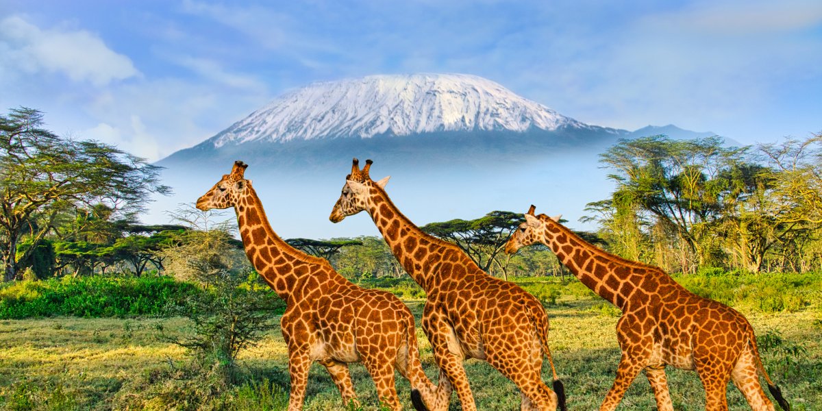  &copy; Mit *HPS* auf Reisen - stock.adobe.com