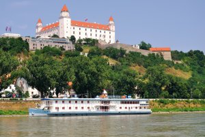  © Mirvav-shutterstock.com/2013