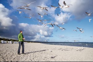  © autofocus67-fotolia.com