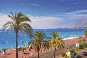  © R.Babakin-fotolia.com