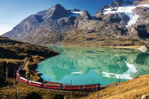  © sculpies-fotolia.com