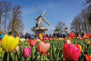  © Keukenhof Holland