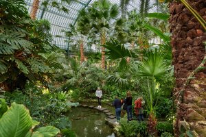  © Tom Wolf/Palmengarten   