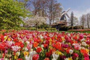  © Keukenhof