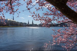  © gerckens.photo - stock.adobe.com