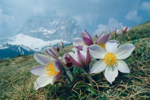  © Tourist Office Val Gardena