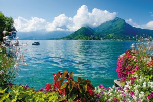  © Simon Dannhauer-fotolia.com