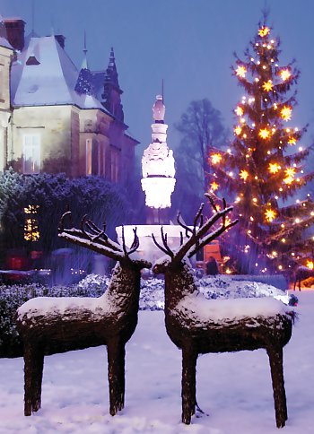 Weihnachtszauber auf Schloss Bückeburg © Schloss Bückeburg