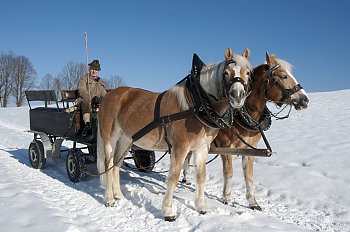 Pferdekutsche im Winter © mma23 - fotolia.com