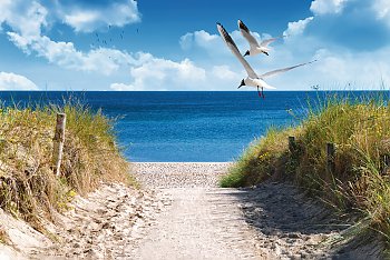 Weg zum Strand © DeVIce-fotolia.com