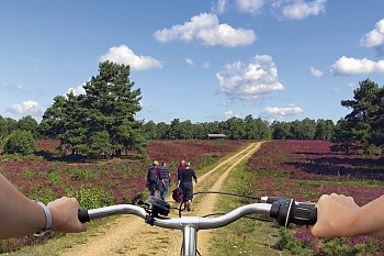 Radtour in der Lüneburger Heide © Blickfang-fotolia.com