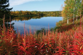 Herbststimmung am See in Lappland © luca manieri-fotolia.com