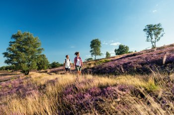 Wanderer in der Lüneburger Heide © DZT/Lüneburger Heide GmbH/Dominik Ketz