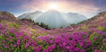 Mont Blanc Panorama © panaramka - stock.adobe.com