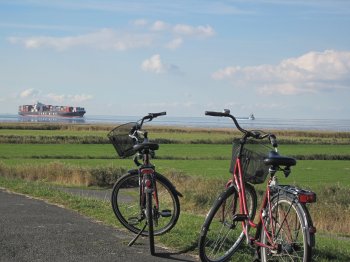 Radfahren mit Elbblick © Tourismusverband Landkreis Stade/Elbe e. V./Bianka Zydek 