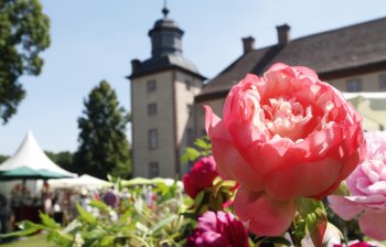 Gartenfest auf Schloss Corvey © Evergreen