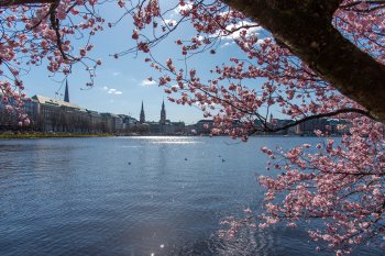 Hamburg im Frühling © gerckens.photo - stock.adobe.com