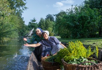 Gurkenernte im Spreewald © Peter Becker  / pixelio.de