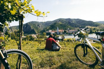 Donauradweg bei Rossatz, Dürnstein im Hintergrund © Donau Niederösterreich - Steve Haider