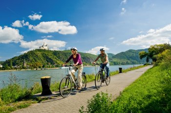 Radfahrer auf dem Rheinradweg © rlp-tourismus/Dominik Ketz