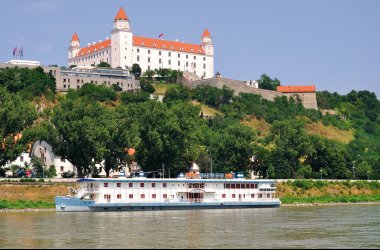  © Mirvav-shutterstock.com/2013