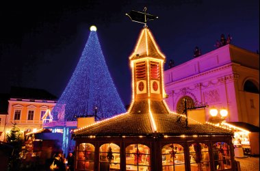  &copy; LianeM - stock.adobe.com