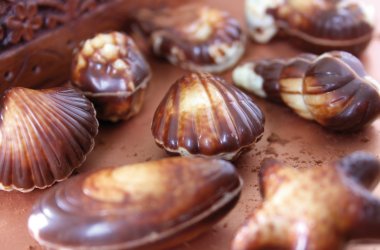  © victoria p.-Fotolia.com
