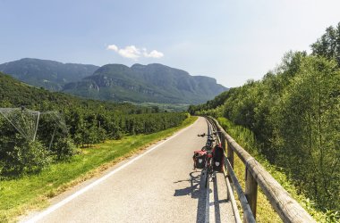  © Claudio Colombo-fotolia.com