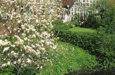  &copy; Richard Green-fotolia.com