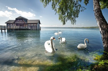  &copy; Jenny Sturm - fotolia.com