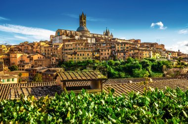  &copy; Eva Bocek - stock.adobe.com