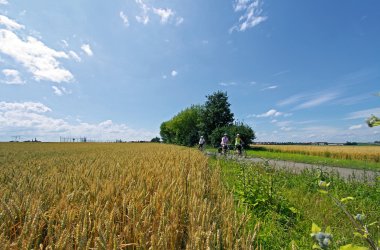  &copy; Andreas Weise/Thüringer Tourismus GmbH