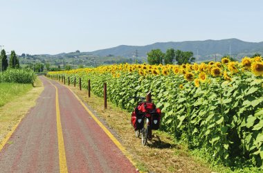  &copy; Claudio Colombo-fotolia.com