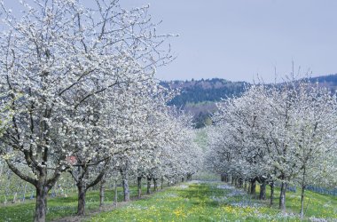  &copy; reinhard sester-fotolia.com