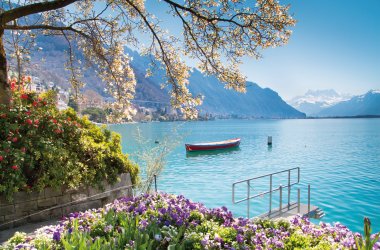  © Michal Ludwiczak-fotolia.com