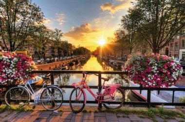  © dennisvdwater - stock.adobe.com