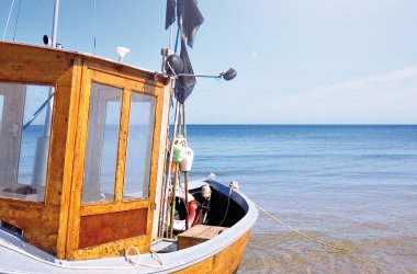  © Kathleen Rekowski-stock.adobe.com