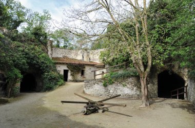  © Philippe Bosseboeuf-fotolia.com