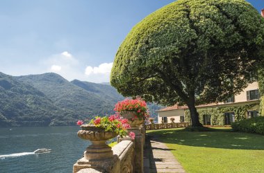  © tommypiconefotografo - stock.adobe.com