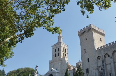  © elophotos-fotolia.com
