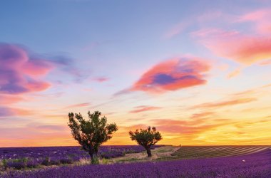  © Kavita-fotolia.com